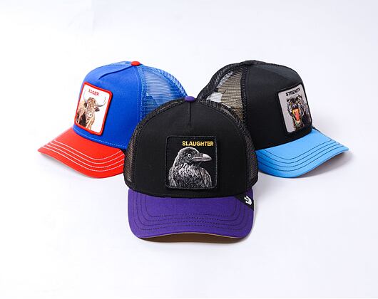 Kšiltovka Goorin Trucker - Raven Fan - Black