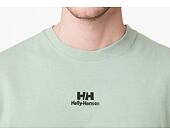 Triko Helly Hansen YU Twin Logo T-Shirt 484 Eucalyptus